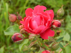 DSCN2535.JPG