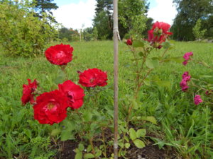 DSCN2538.JPG
