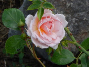 DSCN2493.JPG