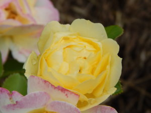 DSCN2495.JPG