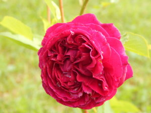 DSCN2561.JPG