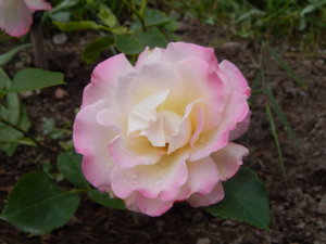 DSCN2825.JPG