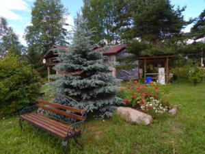 DSCN2473.JPG