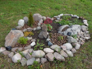 DSCN2517.JPG