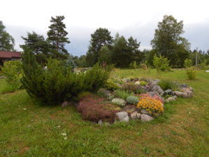 DSCN2764.JPG