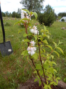 DSCN2675.JPG