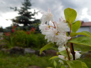 DSCN2677.JPG