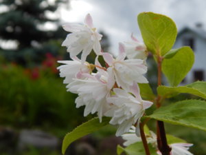 DSCN2678.JPG