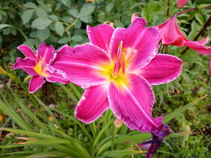 IMG_20190707_201301.jpg