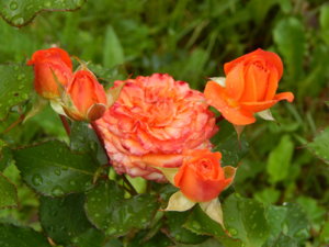 DSCN2866.JPG
