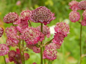 DSCN2872.JPG