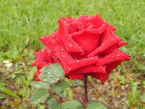 DSCN2892.JPG