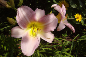 Catherine Woodbury1.jpg