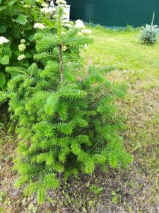 IMG_20190630_090804.jpg