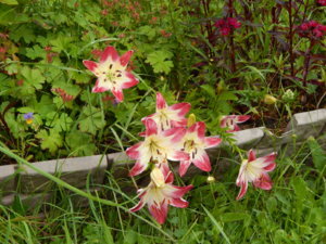 DSCN2869.JPG