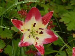 DSCN2871.JPG