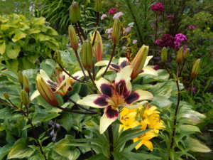 DSCN2887.JPG