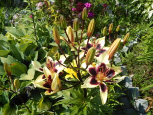 DSCN2958.JPG