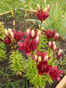 DSCN2902.JPG