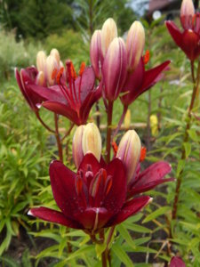 DSCN2904.JPG