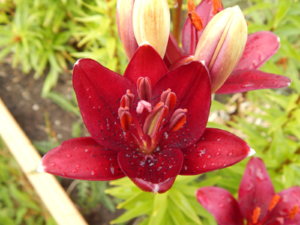 DSCN2905.JPG