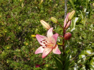 DSCN2960.JPG