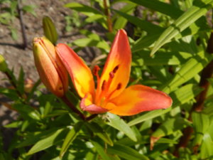 DSCN3004.JPG