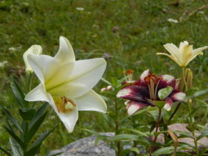 DSCN2940.JPG