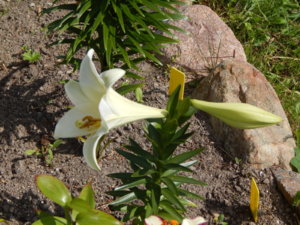 DSCN3003.JPG
