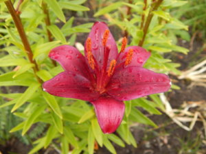 DSCN2903.JPG