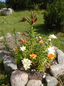 DSCN3005.JPG