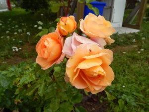 DSCN2876.JPG