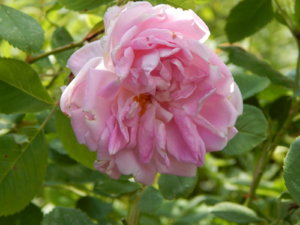 DSCN2978.JPG