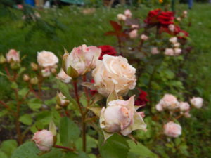 DSCN2881.JPG