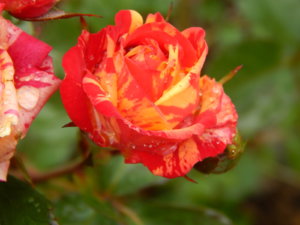 DSCN2875.JPG