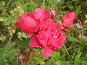DSCN2915.JPG