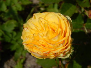 DSCN2963.JPG