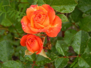 DSCN2865.JPG
