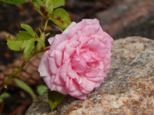 DSCN2927.JPG