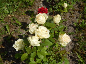DSCN2967.JPG