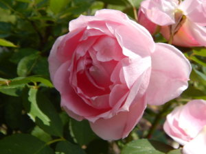 DSCN2980.JPG