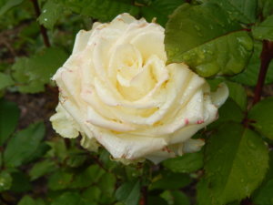 DSCN2891.JPG