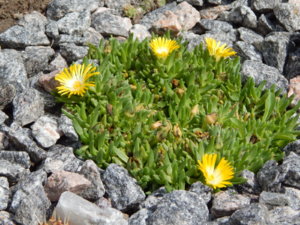 DSCN2989.JPG