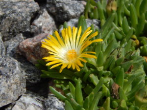 DSCN2990.JPG