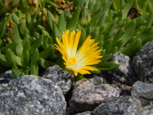 DSCN2991.JPG
