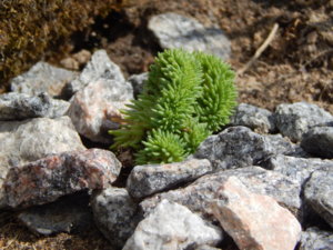 DSCN2993.JPG