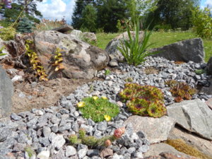 DSCN2994.JPG