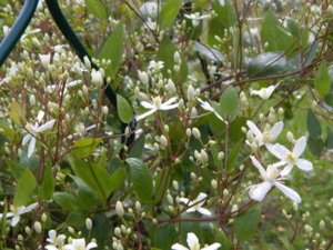 DSCN2895.JPG