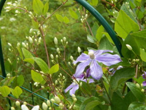 DSCN2896.JPG