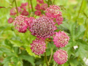 DSCN2873.JPG